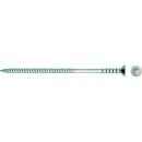 Fischer adjustment screw Fischer JUSS 6x110, PU=100...