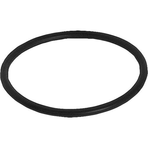 O-ring, adatto per Oventrop, Afriso, filtro WS 54 x 3 mm NUOVO