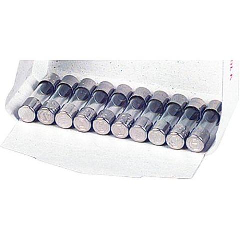 ESKA Microzekering traag-blow 0.200 A (5x20mm) 10 stuks NIEUW