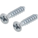 F-Tronic apparaatschroeven 3.2 x 15mm met combi...