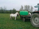 cemo barril de pastoreo PE 2000 litros, 82Kg NUEVO