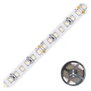 EVN Lichttechnik Striscia LED 5m 3000K 24V/DC IP20...