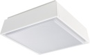 Ridi-Leuchten LED Surface Mounted Luminaire 4000K FLAKE...