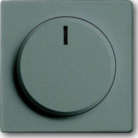 Busch-Jaeger Centraalplaat meteoor/gr voor draaidimmer 6540-803-102 NIEUW