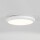 BRUMBERG LED wall & ceiling surface-mounted luminaire IP65,