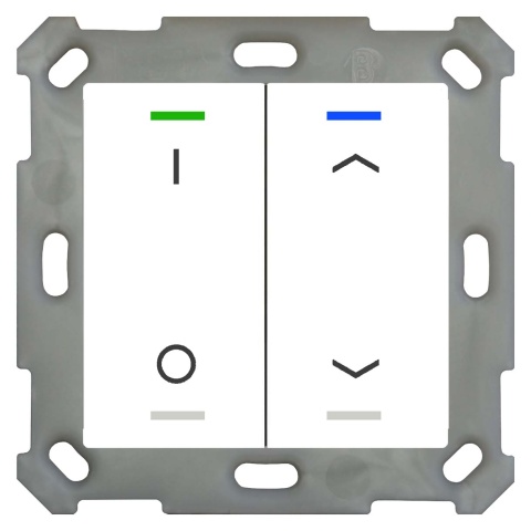 MDT-technologieën Drukknop Licht 55 2-voudig RGBW, rws/glä BE-TAL5502.D1 NIEUW