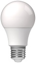 Bombilla LED SMD - Forma de bombilla A60 E27 4.9W 470lm...