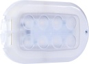 Dotlux LED Cellar Light OVAL 4,5 W 370 lm 4000 K IP44 NEW