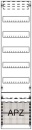 Striebel distributiepaneel met APZ FV17A2 5-rijig 1050mm...