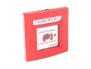 Alarme incendie Bosch DM 200 LSN Forme G rouge