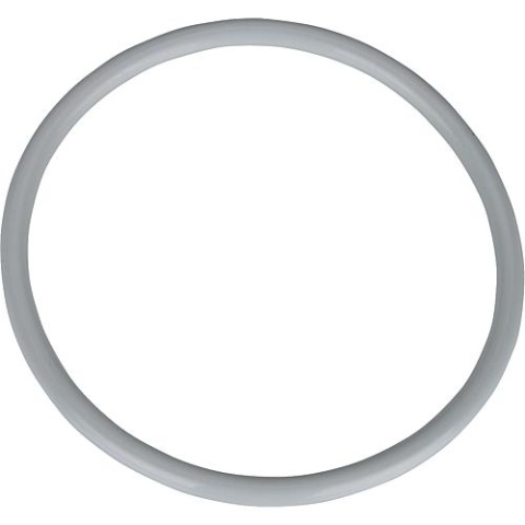 Dichtung O-Ring 160x10 für Buderus, 7747007986 NEU